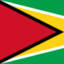 guyana virtual phone number
